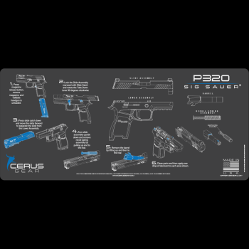 Sig Sauer P320 gray/blue