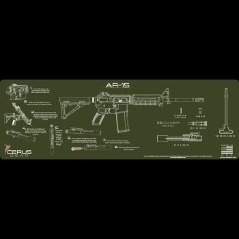 AR-15 INSTRUCTIONAL RIFLE